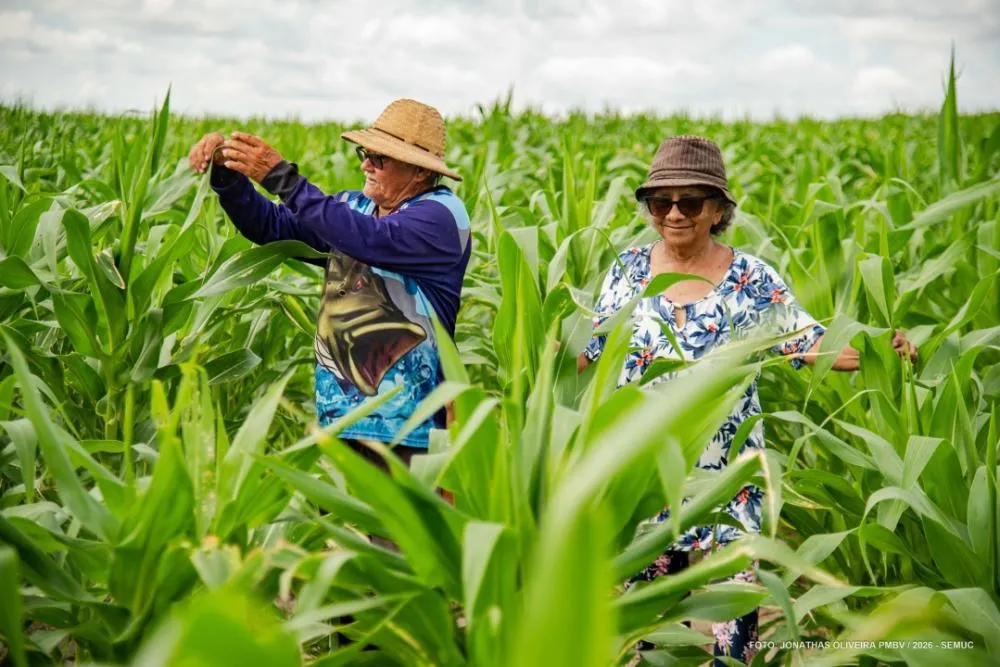Há décadas, agricultores escrevem a história de Boa Vista na zona rural da capital